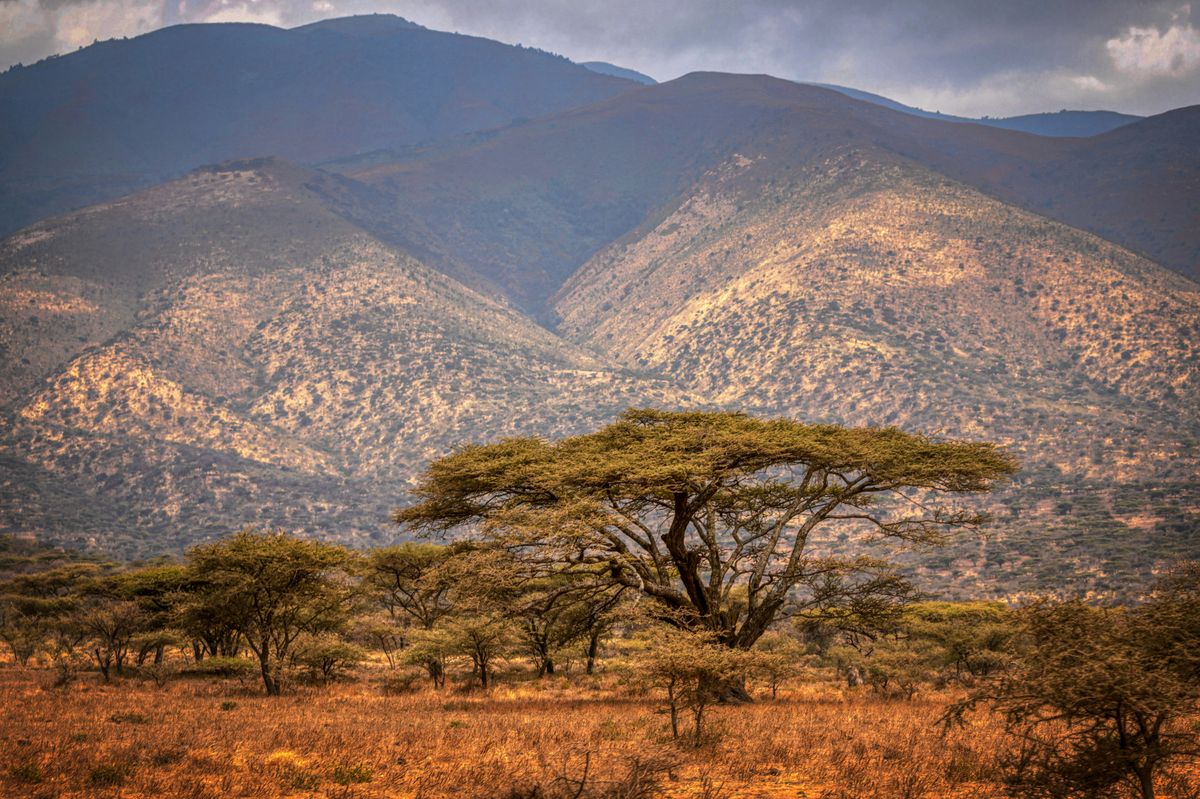 Lake Manyara