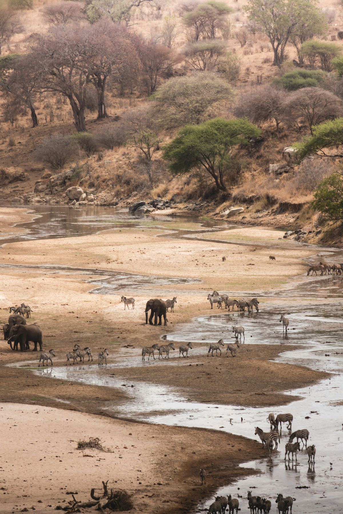 Tarangire National Park