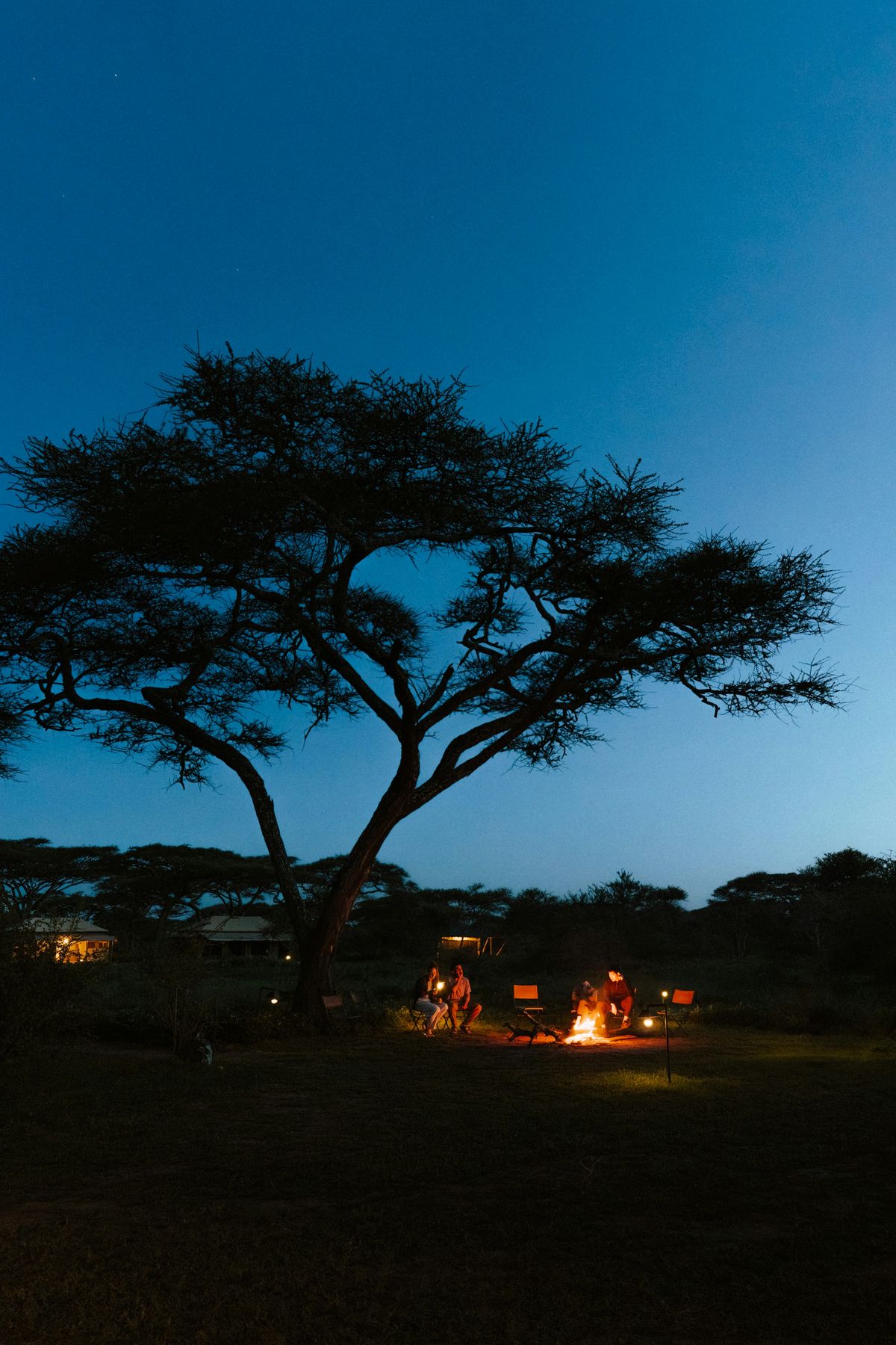Bush Campfire