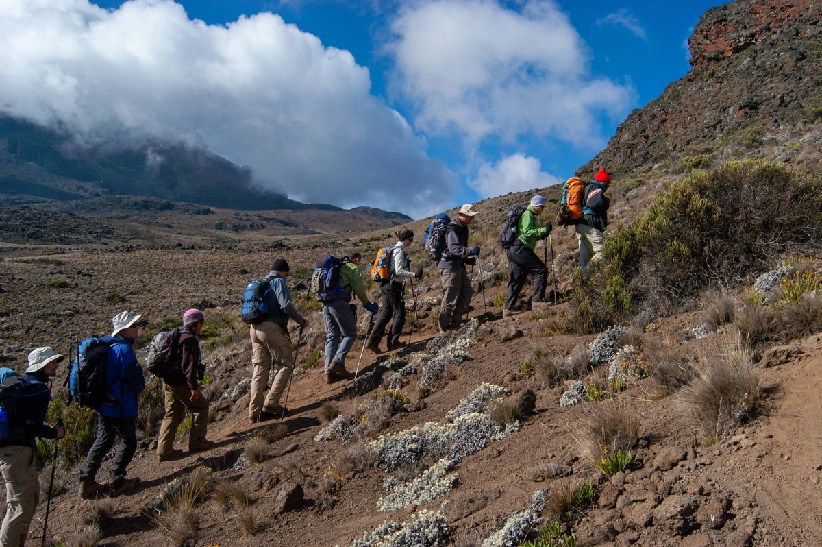 Kilimanjaro Trek