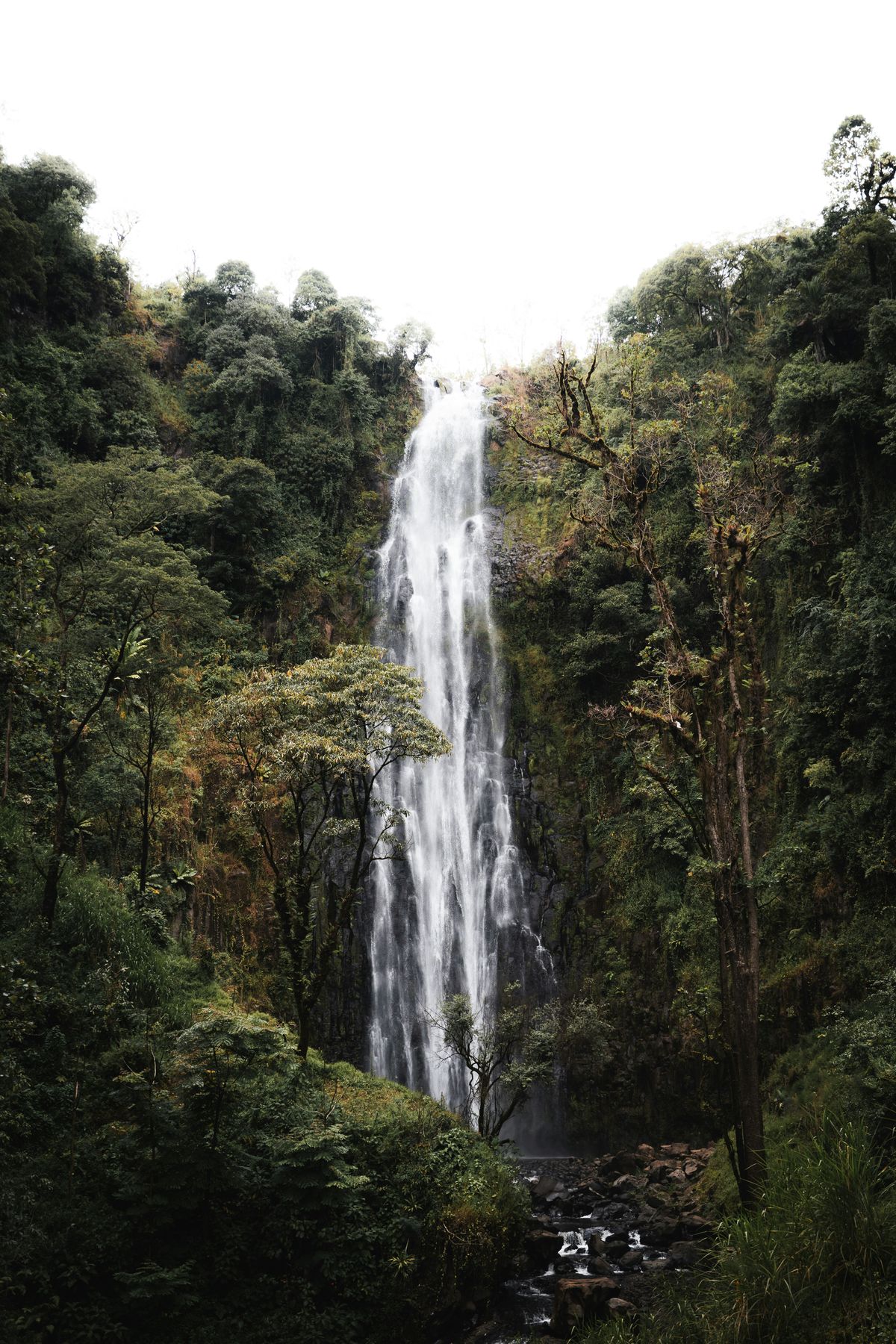 Waterfalls & Nature